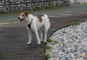 Normandie 05 - 2016_KA79388-1 Kopie
